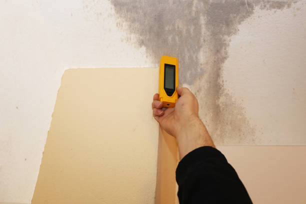 Best Post-Construction Mold Inspection  in Klamath Falls, OR