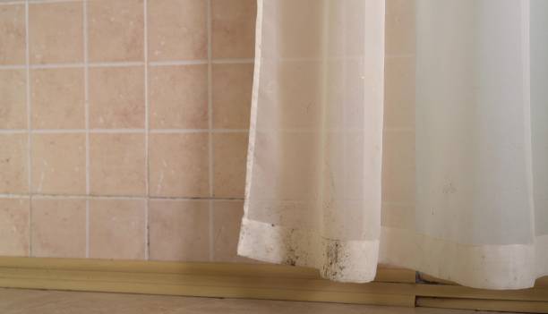 Best Water Damage & Mold Remediation  in Klamath Falls, OR