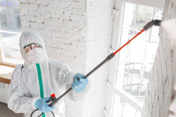 Best Real Estate Mold Inspection  in Klamath Falls, OR