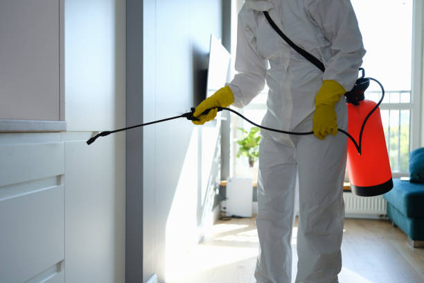 Best Mold Odor Removal Services  in Klamath Falls, OR