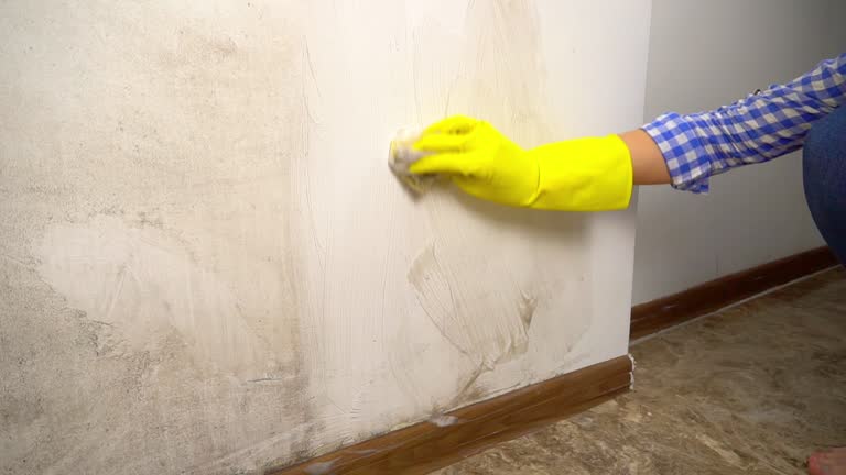 Best Mold Prevention Services  in Klamath Falls, OR